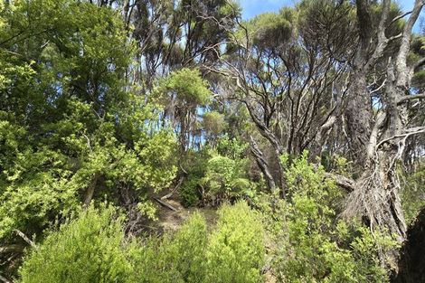 Photo of property in 21 Woods Ridge Road, Kawau Island, 0920