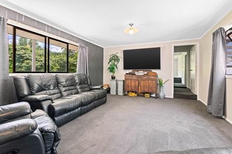 Photo of property in 217 East Road, Reporoa, 3081