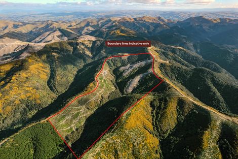 Photo of property in 24 Duncan Road, St Andrews, Hamilton, 3200