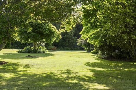 Photo of property in 905 Oropi Road, Oropi, Tauranga, 3173