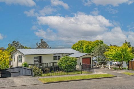 Photo of property in 3a Taupo Terrace, Feilding, 4702