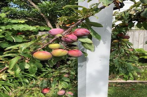 Photo of property in 46 Waimea Road, Waikanae Beach, Waikanae, 5036