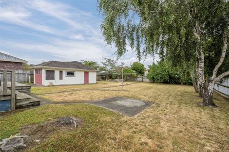 Photo of property in 19 Carlisle Street, Levin, 5510