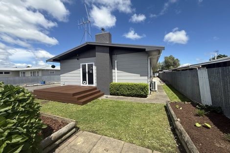 Photo of property in 46 Port Street West, Feilding, 4702