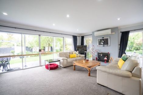 Photo of property in 9 Linmor Place, Terrace End, Palmerston North, 4410