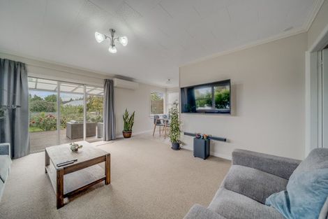 Photo of property in 18 Lethborg Street, Dinsdale, Hamilton, 3204