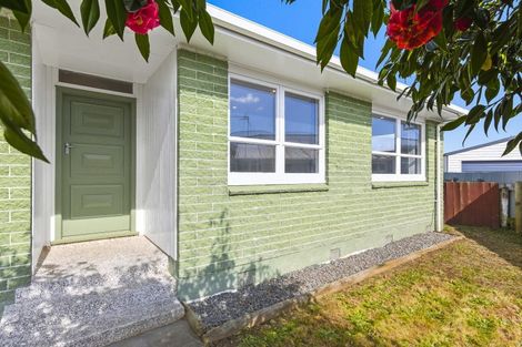 Photo of property in 4 Ross Street, Levin, 5510