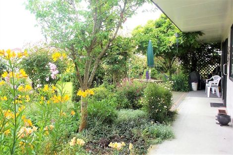 Photo of property in 29 Harris Place, Temuka, 7920