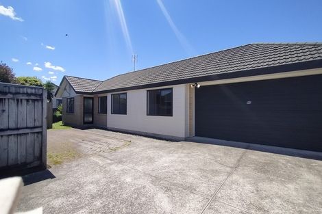 Photo of property in 47 Solomon Street, Brookfield, Tauranga, 3110