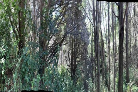 Photo of property in 443 East Takaka Road, East Takaka, Takaka, 7183