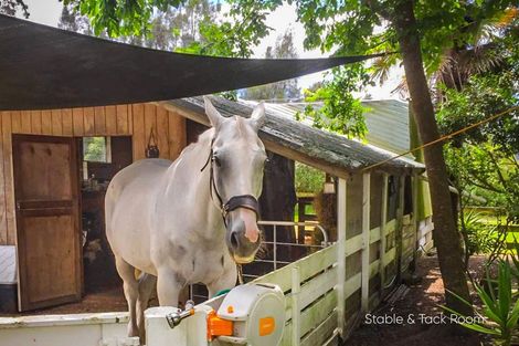 Photo of property in 438 Kaipara Coast Highway, Helensville, Kaukapakapa, 0871