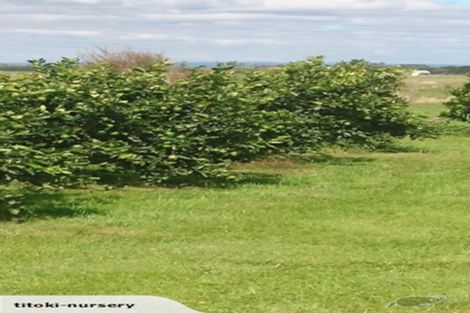 Photo of property in 324 Greig Road, Matata, Whakatane, 3194