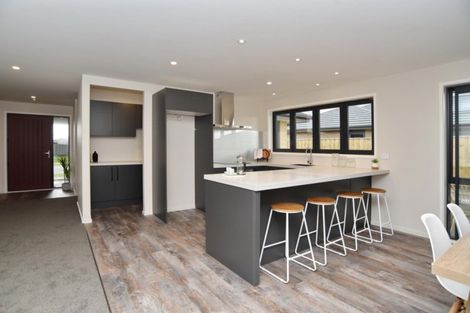 Photo of property in 57 Craig Thompson Drive, Lincoln, 7608