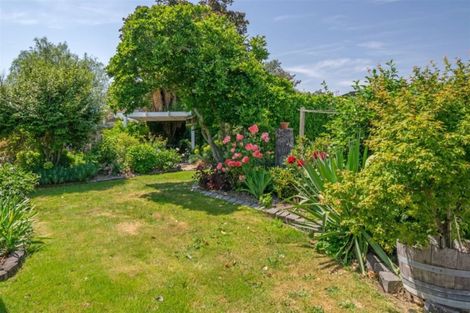 Photo of property in 3 Martin Terrace, Witherlea, Blenheim, 7201