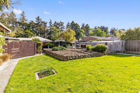 Photo of property in 15 Owen Street, Temuka, 7920