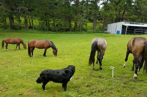 Photo of property in 289 Wright Road, Aongatete, Katikati, 3181