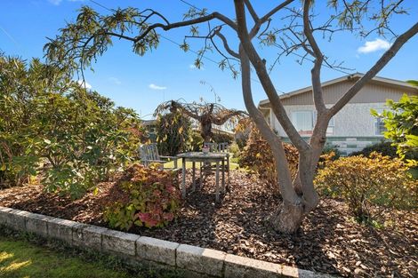 Photo of property in 16 Boyce Street, Motueka, 7120