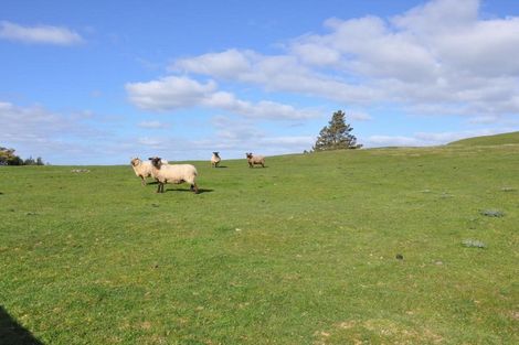 Photo of property in 131 Omata Road, Pahiatua, 4988