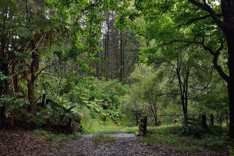 Photo of property in 208 Cave Road, Matokitoki, Gisborne, 4071