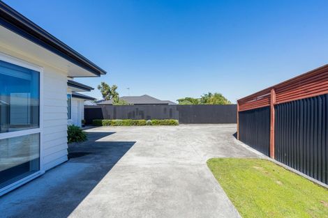 Photo of property in 12 Sussex Street, Levin, 5510