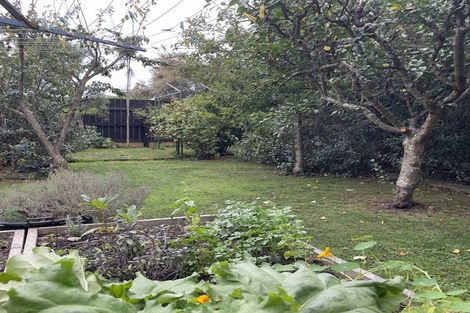 Photo of property in 25 Churchill Avenue, Richmond, 7020