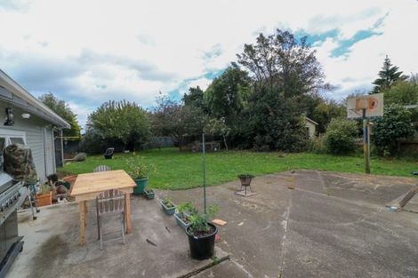 Photo of property in 68 Barraud Street, Dannevirke, 4930