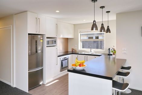 Photo of property in 6 Te Aue Street, Marshland, Christchurch, 8083