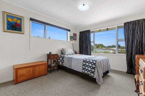 Photo of property in 43 Clarke Avenue, Te Aroha, 3320