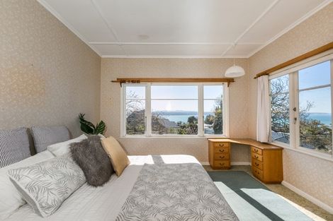 Photo of property in 19 Coleman Terrace, Hospital Hill, Napier, 4110