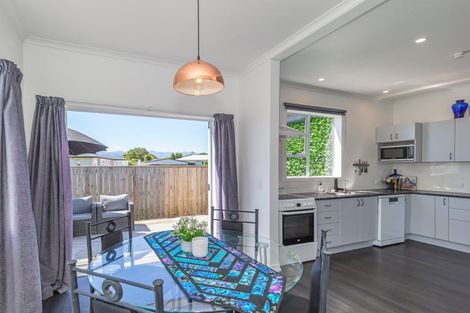 Photo of property in 38 Princes Street, Levin, 5510