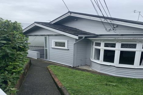 Photo of property in 301 Adelaide Road, Newtown, Wellington, 6021