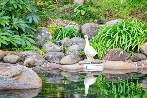 Photo of property in 133 Bollard Road, Tamahere, Hamilton, 3283
