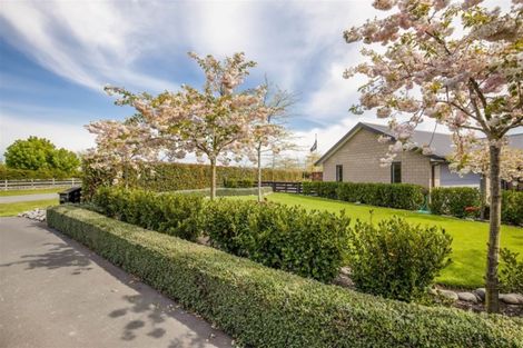Photo of property in 42 Cullen Avenue, Swannanoa, Rangiora, 7475