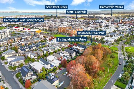 Photo of property in 15 Liquidambar Drive, Hobsonville, Auckland, 0616