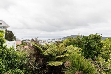 Photo of property in 29 Mortimer Terrace, Aro Valley, Wellington, 6021