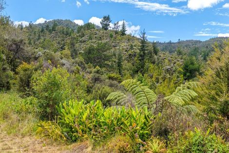 Photo of property in 47 Otuturu Crescent, Ruamahunga, Thames, 3575