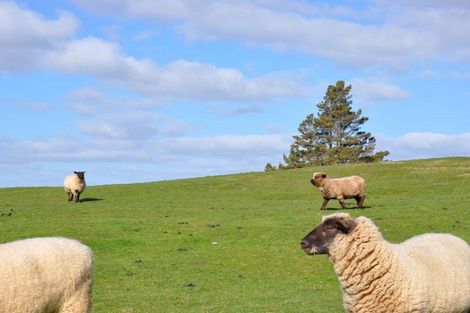 Photo of property in 131 Omata Road, Pahiatua, 4988