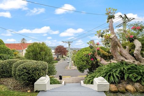 Photo of property in 53 Tweed Street, Roslyn, Dunedin, 9010