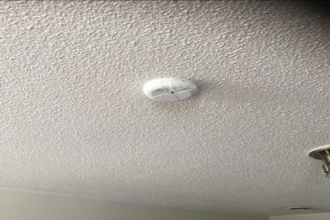 Photo of property in 5 Smith Street, Frankton, Hamilton, 3204