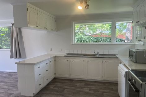 Photo of property in 14 Wake Street, Chartwell, Hamilton, 3210