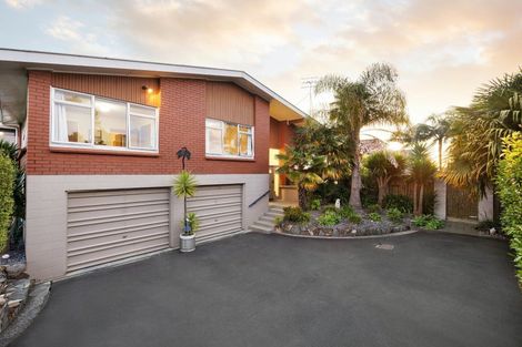 Photo of property in 107 Newcastle Road, Dinsdale, Hamilton, 3204