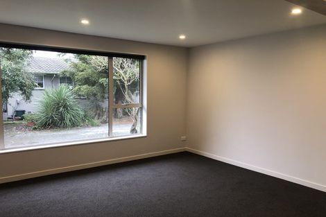 Photo of property in 264 Island Road, Kaiapoi, 7630