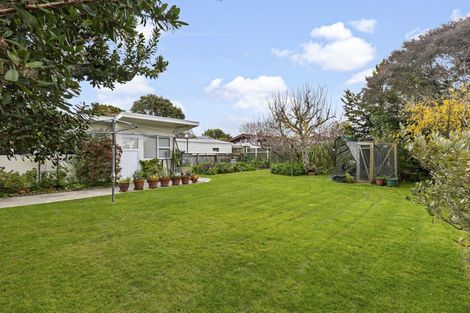 Photo of property in 212 Victoria Avenue, Hokowhitu, Palmerston North, 4410