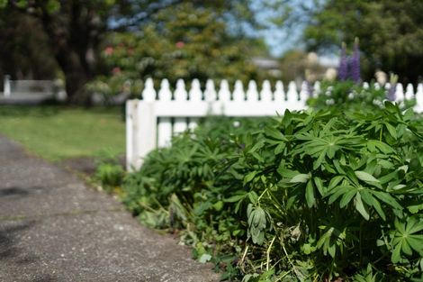 Photo of property in 36 Kent Street, Carterton, 5713