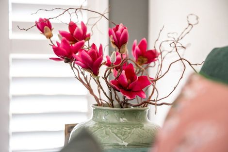 Photo of property in The Altair, 38/120 Rintoul Street, Newtown, Wellington, 6021