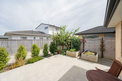 Photo of property in 19 Andrew Street, Stoke, Nelson, 7011