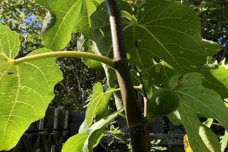 Photo of property in 44 Hazlewood Avenue, Karori, Wellington, 6012