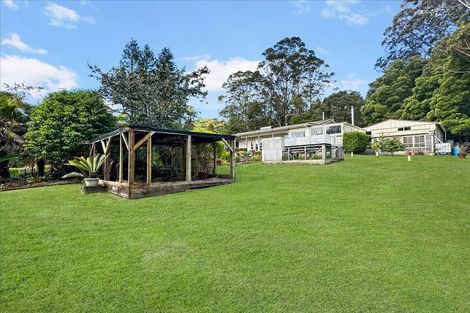 Photo of property in 168 Dip Road, Kaeo, 0479