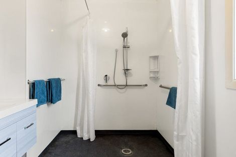 Photo of property in 11 Hinau Street, Maeroa, Hamilton, 3200