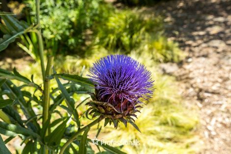 Photo of property in 264c Old School Road, Maymorn, Upper Hutt, 5018